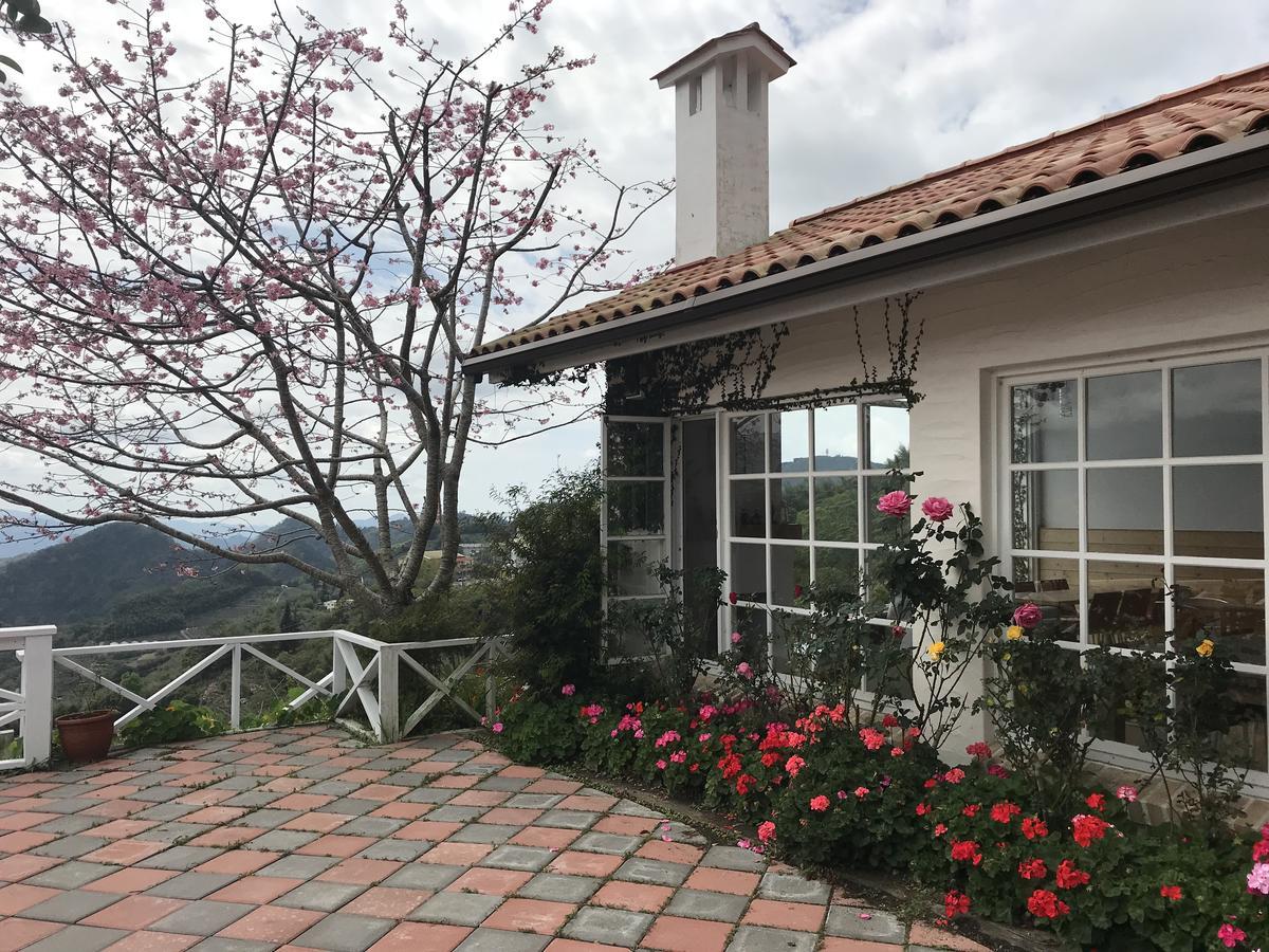 Alishan Tea Garden B&B Фэньчиху Экстерьер фото
